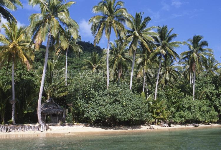 Islands;Taveuni;Fiji;palm trees;sky;water